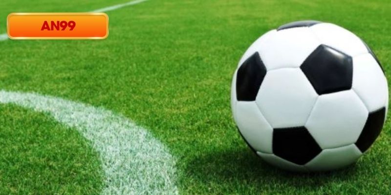 Kèo chấp 1/2 trái là gì và cách đọc đúng trong cá cược