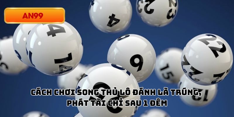 Cách Chơi Song Thủ Lô Đánh Là Trúng, Phát Tài Chỉ Sau 1 Đêm